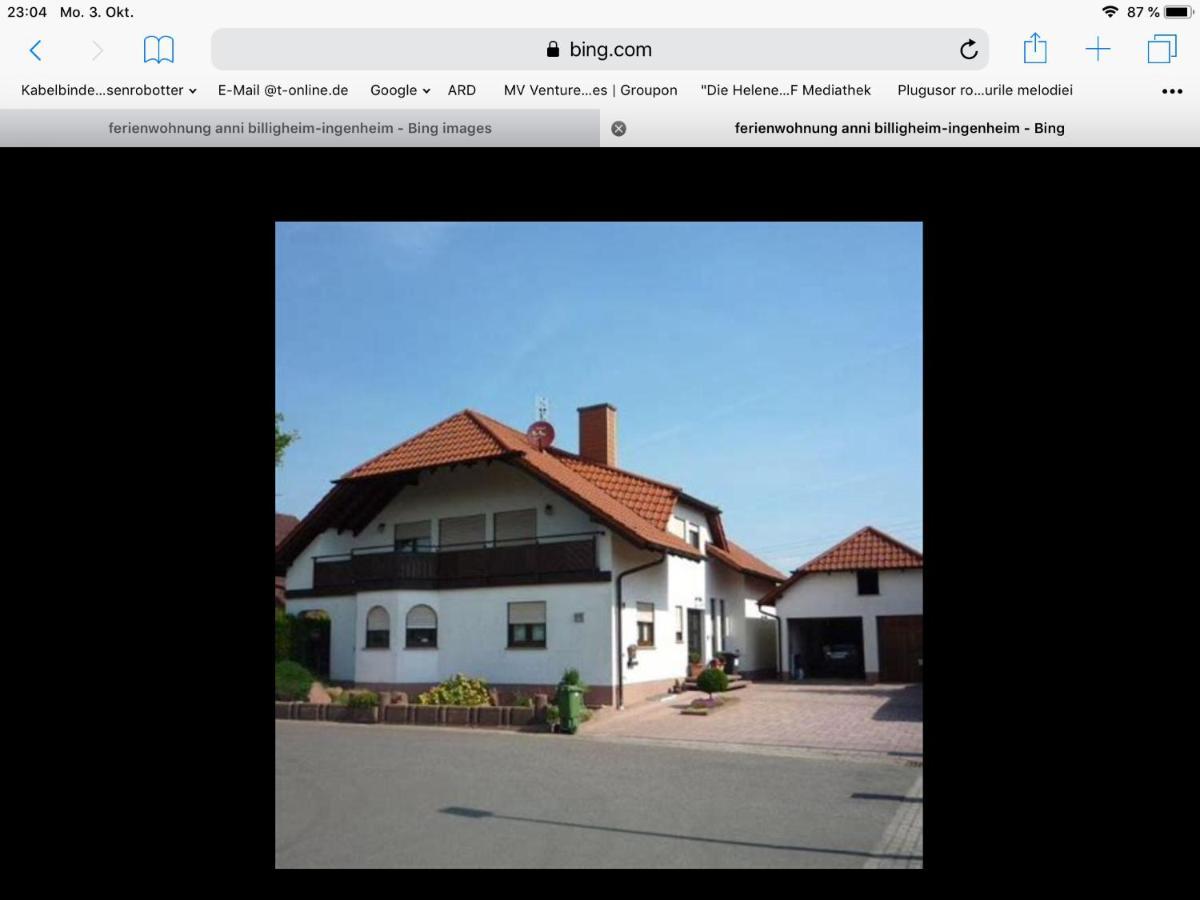 „Ferienwohnung Anni“ Billigheim-Ingenheim Εξωτερικό φωτογραφία